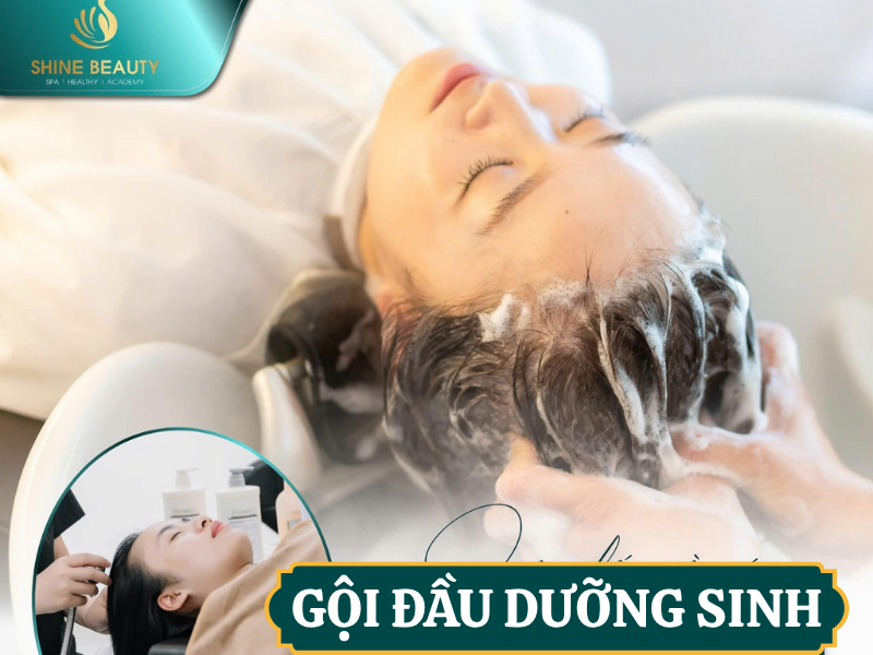 Gội Đầu Dưỡng Sinh